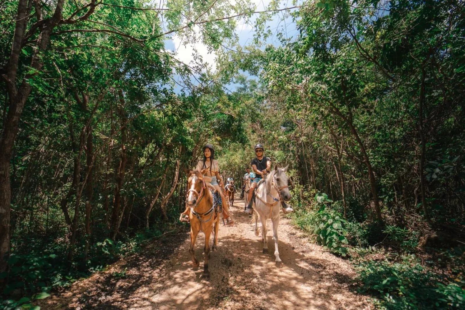Energy Tulum Holistic Ranch Hotel